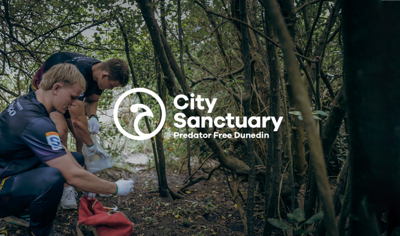 city sanctuary website tile
