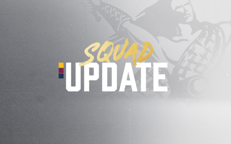 squad update Website tile